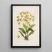 Sertum orchidaceum Una corona delle più belle fiori di orchidee Pl39 - John Lindley — quadro incorniciato alla parete