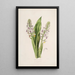 Sertum orchidaceum Une couronne des plus belles fleurs orchidées Pl42 - John Lindley — quadro incorniciato alla parete