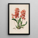Sertum orchidaceum Une couronne des plus belles fleurs orchidées Pl45 - John Lindley — quadro incorniciato alla parete
