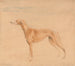 Il cane da caccia Thomasine - John Linnell — vista dell’opera