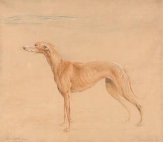 Il cane da caccia Thomasine - John Linnell — vista dell’opera