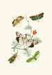 Le cabinet d'entomologie orientale Pl IV - John Obadiah Westwood — vista dell’opera