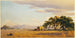 Moisson près de San José, California - John Ross Key — vista dell’opera
