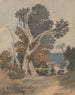 Un gruppo di alberi vicino a una staccionata - John Sell Cotman — vista dell’opera
