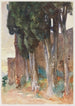 Alhambra Grenade - John Singer Sargent — vista dell’opera