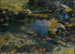 Bassin alpino - John Singer Sargent — vista dell’opera