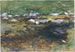 Ruisseau e prateria - John Singer Sargent — vista dell’opera