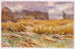 Champ Camouflé in Francia - John Singer Sargent — vista dell’opera