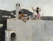 Fille de Capri sur un toit - John Singer Sargent — vista dell’opera