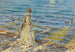 Fille pêchant - John Singer Sargent — vista dell’opera