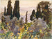 Melograno - John Singer Sargent — vista dell’opera