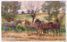 Mules - John Singer Sargent — vista dell’opera