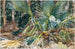 Palmiers - John Singer Sargent — vista dell’opera