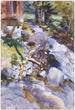 Ruisseau impetuoso - John Singer Sargent — vista dell’opera