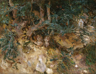 Ghiande e erbe su una collina a Valldemossa, Maiorca - John Singer Sargent — vista dell’opera