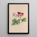Campanule - John Stevens Henslow — quadro incorniciato alla parete