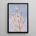 Fleurs de pêcher - John William Hill — quadro incorniciato alla parete