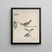 Disegni originali a acquerello di uccelli e uova Pl24 - John William Lewin — quadro incorniciato alla parete