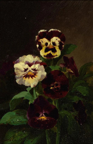 John Williamson - Pansies.webp