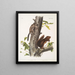 Sciurus Fremonsii Scoiattolo di Fremont Dimensioni naturali 2 Sciurus fuliginosus Scoiattolo fuligginoso Dimensioni naturali - John Woodhouse Audubon — quadro incorniciato alla parete