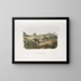 Topo delle rane delle praterie della Pennsylvania dimensioni naturali - John Woodhouse Audubon — quadro incorniciato alla parete