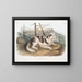 Cane domestico maschio dell'India - John Woodhouse Audubon — quadro incorniciato alla parete