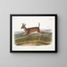 Cervo a coda lunga maschio - John Woodhouse Audubon — quadro incorniciato alla parete