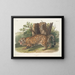 Jaguar femmina - John Woodhouse Audubon — quadro incorniciato alla parete
