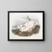 Lepre americano, dimensione naturale, inverno - John Woodhouse Audubon — quadro incorniciato alla parete