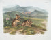 Lièvre di Nuttall maschio dimensione naturale - John Woodhouse Audubon — vista dell’opera
