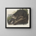 Loutre del Canada dimensione naturale maschio - John Woodhouse Audubon — quadro incorniciato alla parete