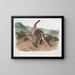 Lynx rosso var. maculatus femmina del Texas - John Woodhouse Audubon — quadro incorniciato alla parete