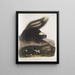 Mephitis Americana Mouffette americana comune Dimensione naturale Femmina - John Woodhouse Audubon — quadro incorniciato alla parete