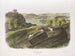 Topo con zampe biane Dimensione naturale Maschio, femella e giovane - John Woodhouse Audubon — vista dell’opera