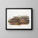 Fouine americana - John Woodhouse Audubon — quadro incorniciato alla parete