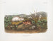 Lemming della baia di Hudson a grandezza naturale - John Woodhouse Audubon — vista dell’opera