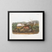 Lemming della baia di Hudson a grandezza naturale - John Woodhouse Audubon — quadro incorniciato alla parete