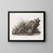 Fouine bianca dimensione naturale 1 maschio 2 femmine - John Woodhouse Audubon — quadro incorniciato alla parete