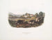 Mole shrew americano comune dimensione naturale maschio femmina - John Woodhouse Audubon — vista dell’opera