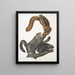 Sciurus cinereus Scoiattolo-cane Dimensioni naturali - John Woodhouse Audubon — quadro incorniciato alla parete