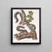 Sciurus migratorius Scoiattolo migratore Dimensione naturale 1 Vecchio maschio 2 Femelle 3 Giovani - John Woodhouse Audubon — quadro incorniciato alla parete