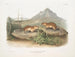 Spermophile tacheté, scoiattolo marmotta della California, dimensioni naturali - John Woodhouse Audubon — vista dell’opera