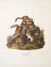 Tamias lysterii Scoiattolo di Chipping Stampa d'arte di dimensioni naturali Maschio Femmina e Giovane Primo Autunno - John Woodhouse Audubon — vista dell’opera