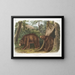 Orso nero americano varietà cannella maschio e femmina - John Woodhouse Audubon — quadro incorniciato alla parete