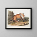 Renard roux américain mâle - John Woodhouse Audubon — quadro incorniciato alla parete