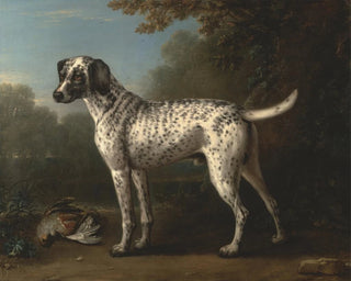 Un levriero maculato di grigio - John Wootton — vista dell’opera