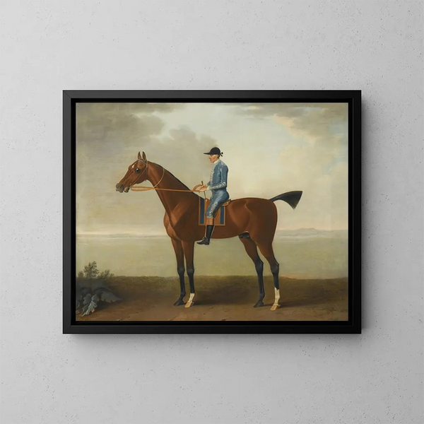 Il cavallo di Lady O'Brien montato da un fantino - John Wootton — quadro incorniciato alla parete
