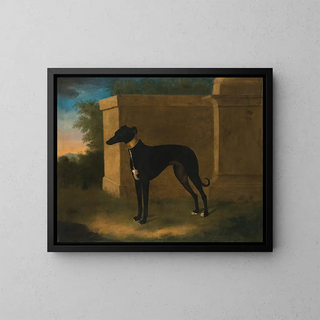 John Wootton - Portrait Of A Greyhound Called Pompon.webp
