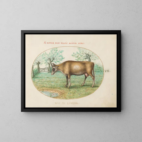 Una mucca - Joris Hoefnagel — quadro incorniciato alla parete