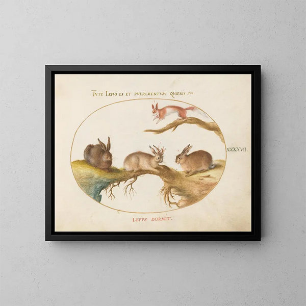 Un lepre, un jackalope, un coniglio e uno scoiattolo maculato - Joris Hoefnagel — quadro incorniciato alla parete